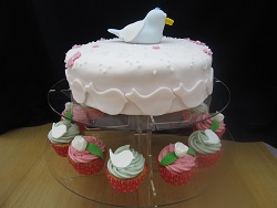 bird christening cake
